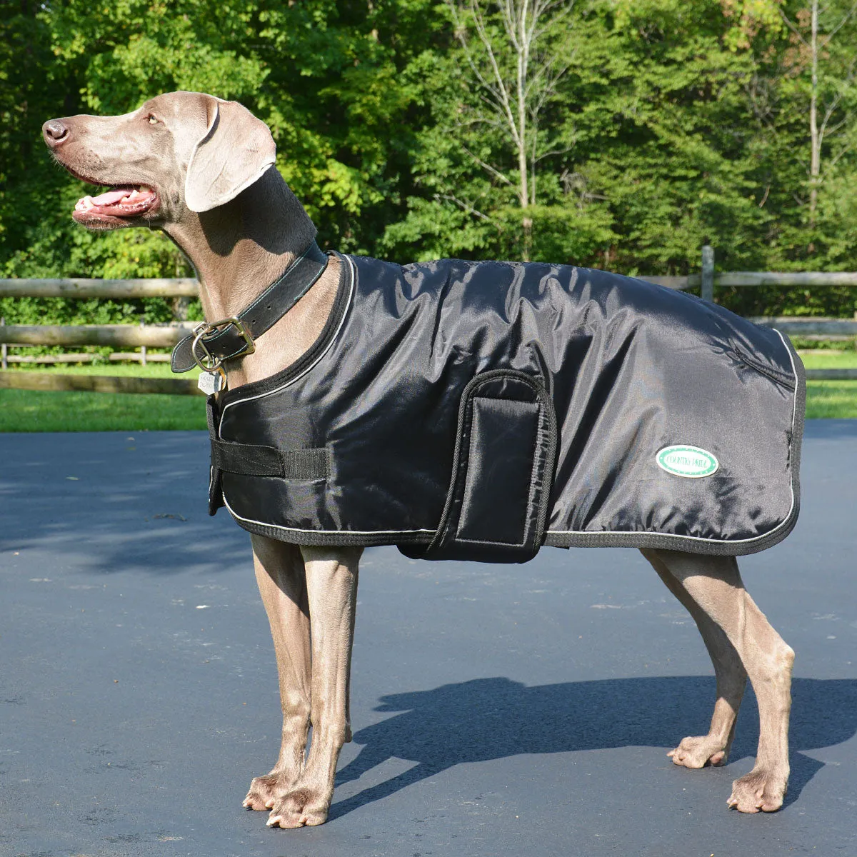 Country Pride 420D Nylon Dog Blanket
