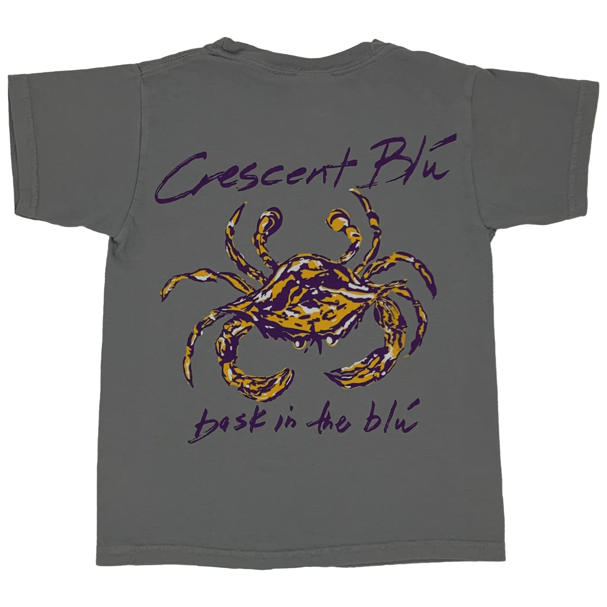 Purple & Gold Youth Short Sleeve T-shirt