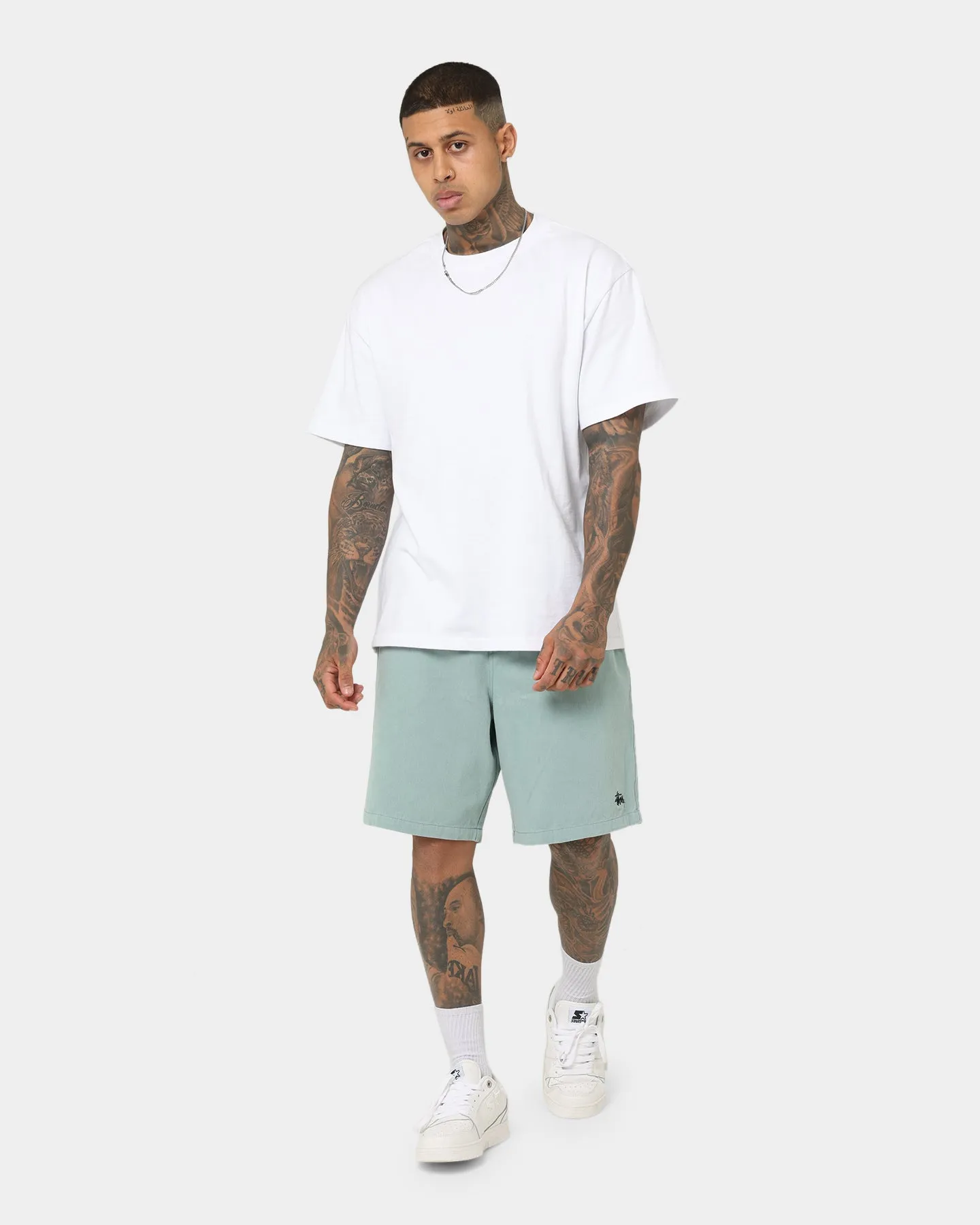 Stussy Brushed Beach Shorts Sage Green