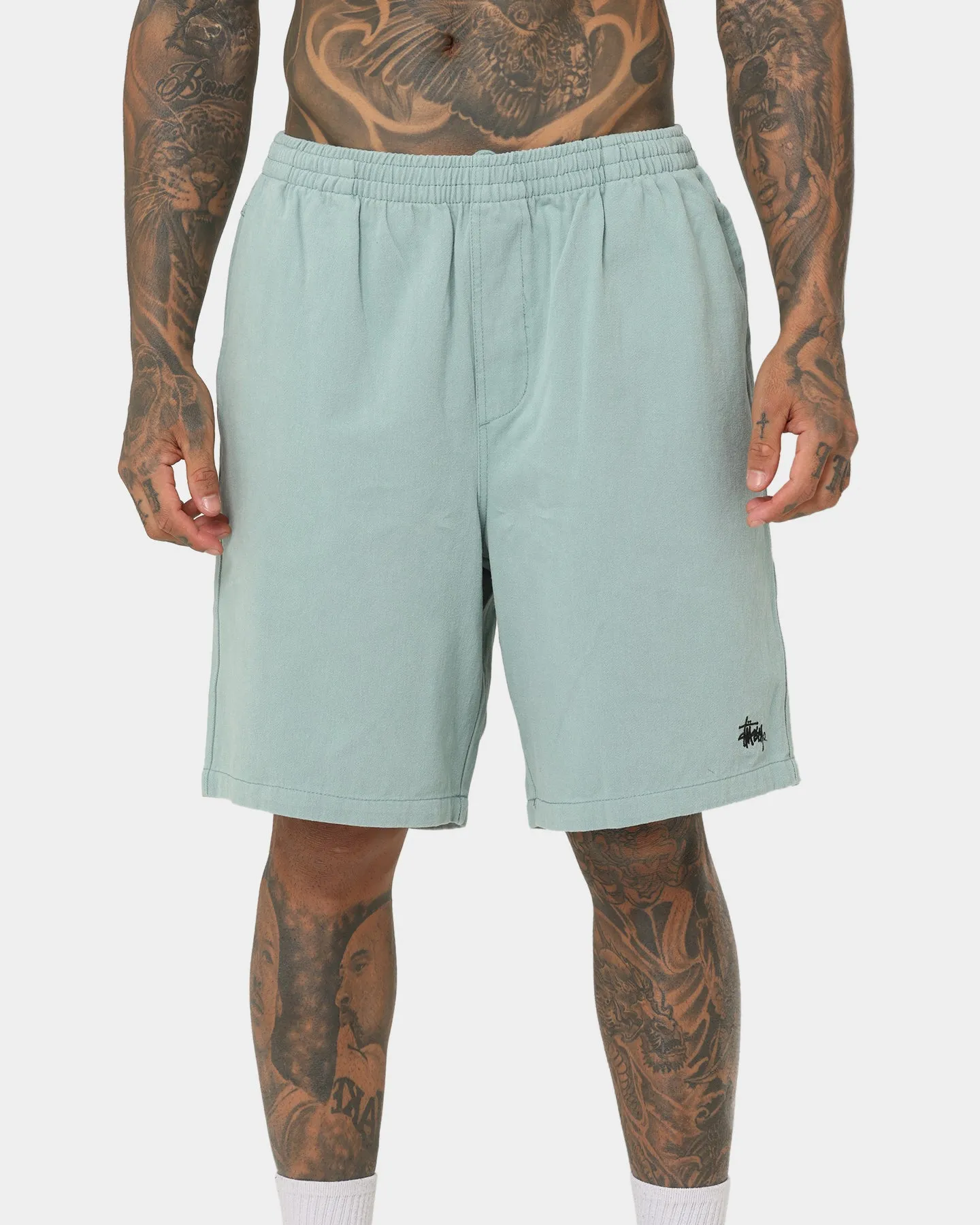 Stussy Brushed Beach Shorts Sage Green